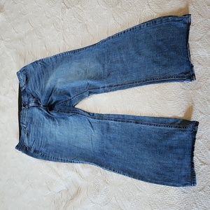 Lane Bryant Venezia 20L bootcut jeans